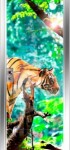 03Animal