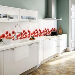 kukhni-so-skinali-osobennosti-foto16-t_c