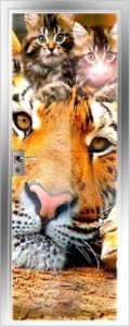Детская серия 04 Animal