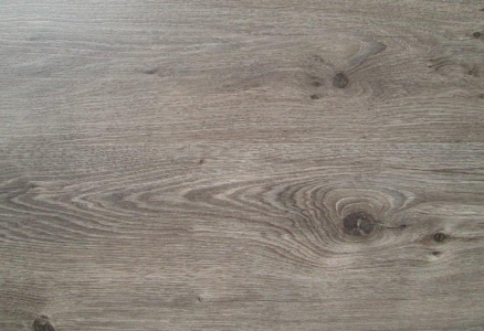 EXCELLENT 182 N Silvergrey oak