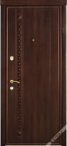 Модель 49
