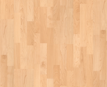 CLASSIC, CL017, ENHANCED MAPLE, 3 STRIP