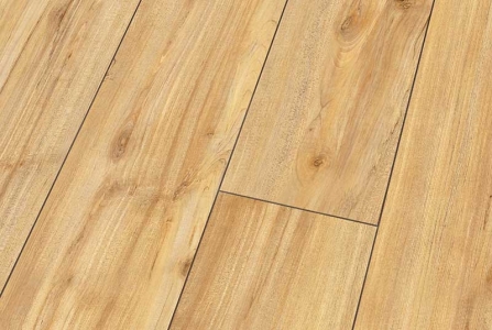 Blue Line Wood D3718 Wild Maple