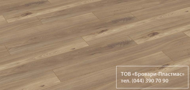 Вяз Элегантный R 1007