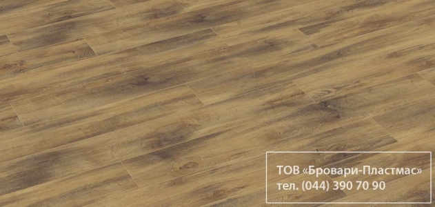 Дуб Паленый R 1011