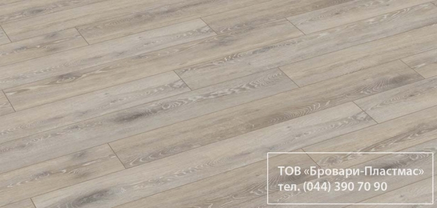 Дуб Белённый Титан R 1214