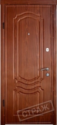 Модель 101